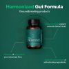 Oranvital Gut Health Probiotic Synbiotic Probiotic Capsules Probiotics Capsules for Weight Management Digestive Health