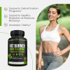 Oranvital Green Tea Weight Loss Pills for Women & Men Stomach Fat Burner Metabolism Booster Appetite Suppressant Green Tea Fat Burner Diet Pills Vegan Weight Loss Supplements