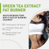 Oranvital Green Tea Weight Loss Pills for Women & Men Stomach Fat Burner Metabolism Booster Appetite Suppressant Green Tea Fat Burner Diet Pills Vegan Weight Loss Supplements