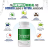 Oranvital Fat Burner Supplements Appetite Suppressants for Weight Loss Night-Time Fat Burner for Women and Men Supporting Sleep & Relaxation Metabolism Booster Weight Loss Pills