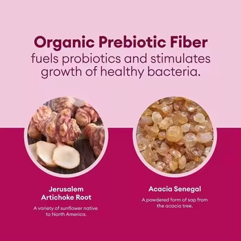Organic Probiotic Capsules Improves Digestive Regularity Supports Immune System Women's Probiotic Capsule