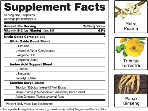 Nitric Oxide Booster Supplement with L Arginine and L Citrulline Essential Amino Acids and Ginseng Root Energy Heart Health Muscle Growth Circulation Support