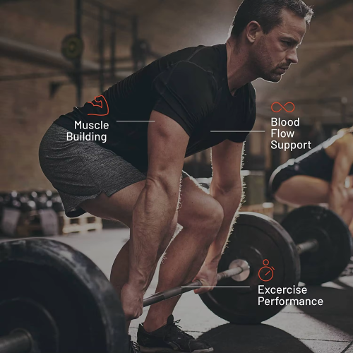 Nitric Oxide Booster Supplement with L Arginine and L Citrulline Essential Amino Acids and Ginseng Root Energy Heart Health Muscle Growth Circulation Support