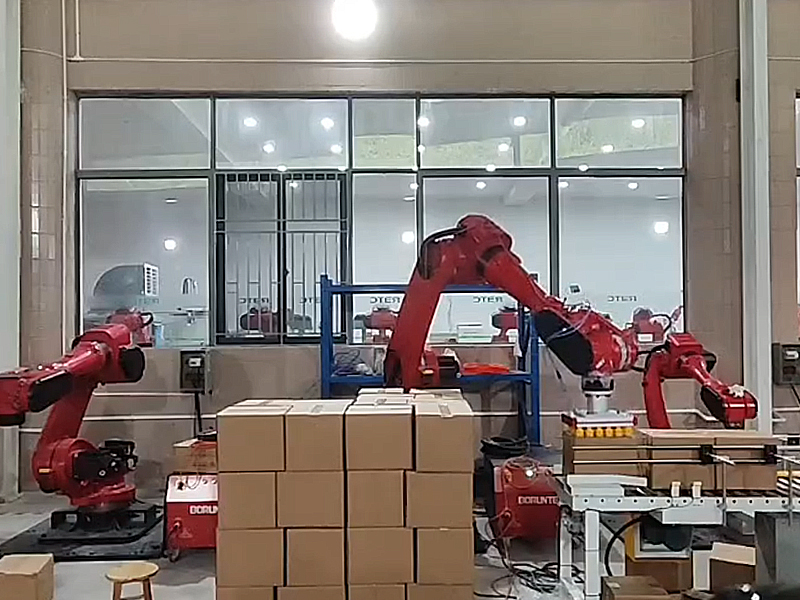 Palletizing Robot Solution