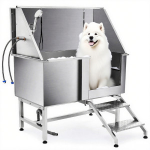 Everything You Should Know About Pet Sinks for a Cleaner Pet and Home