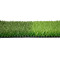 Non-Infill Artificial Grass | Eco-Friendly & Low-Maintenance Synthetic Turf for Indoor/Outdoor