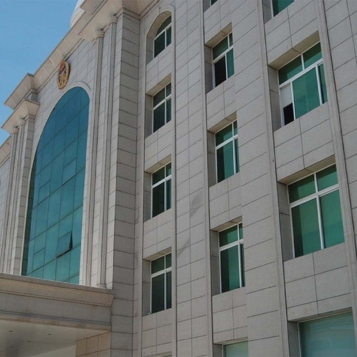 طلاء حجري فني رباعي الأبعاد | طلاء خارجي بنقش بارز وتنظيف ذاتي للمباني الفاخرة