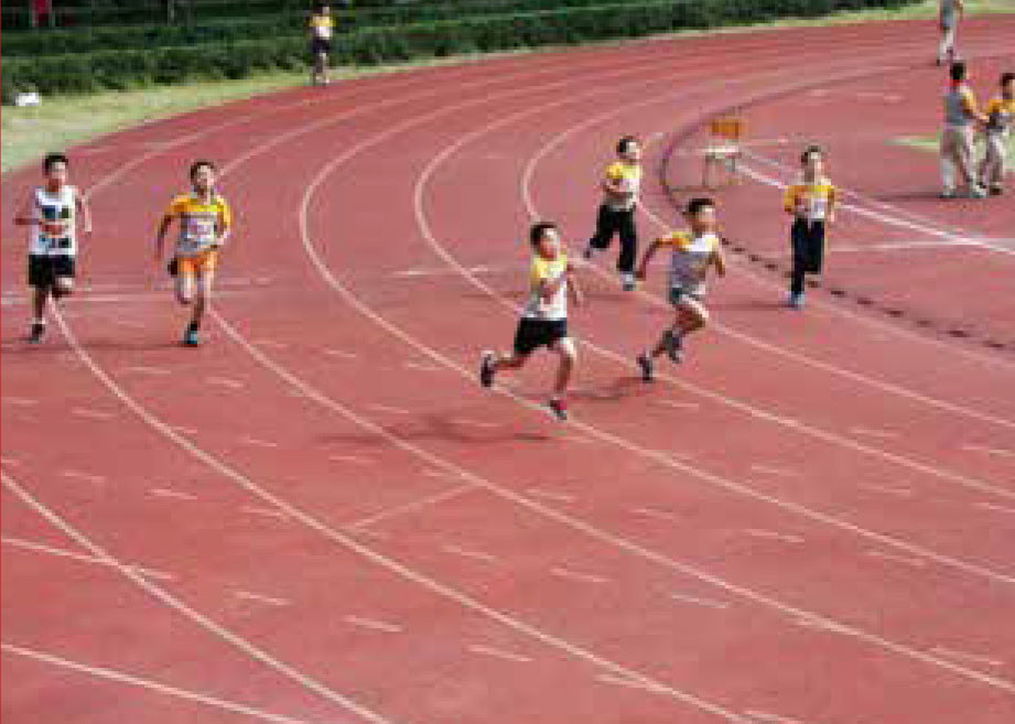Hybrid Rubber Running Track