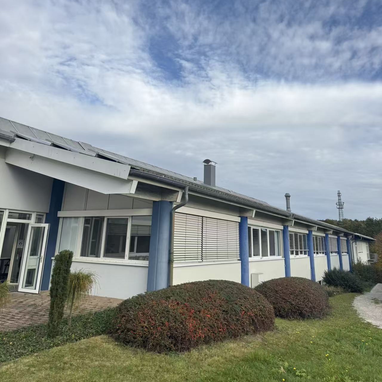 DHP Factory VS Germany Client's Fatcory