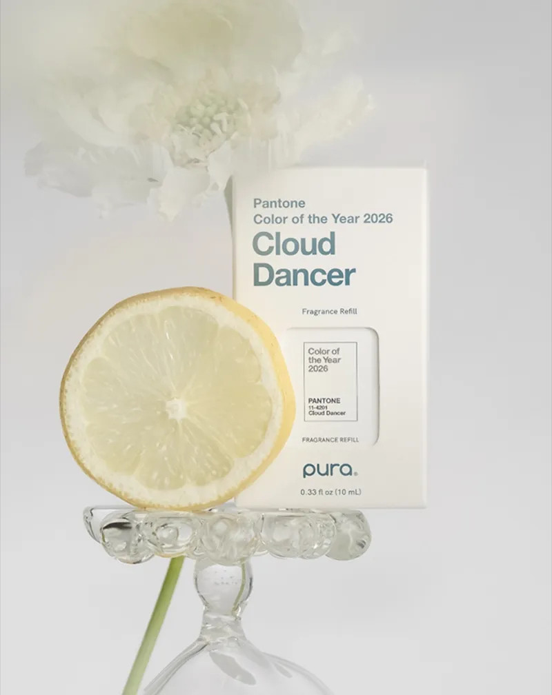 couleurs de la boîte d'emballage