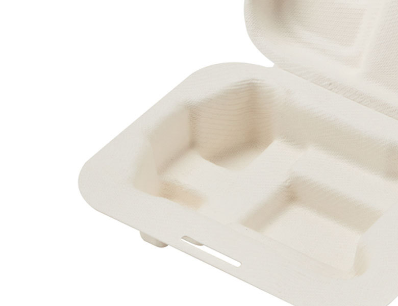 Molded Pulp Insert