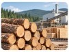 Pulp and sawmill stage of paper packaging supply chain