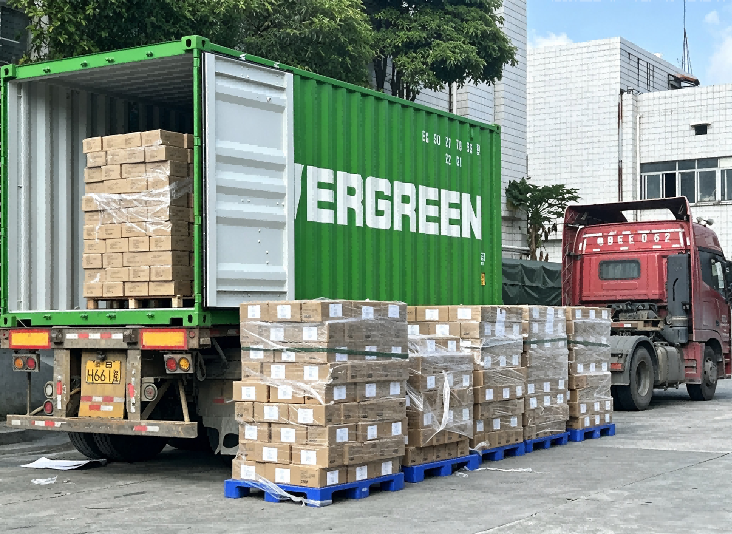 Boxes Shipping & Logistics