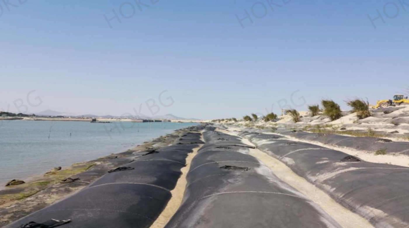 Coastal protection and restoration using geotube construction