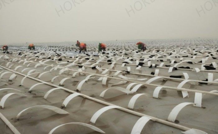 Final effect of hydraulic fill soft soil foundation treatment