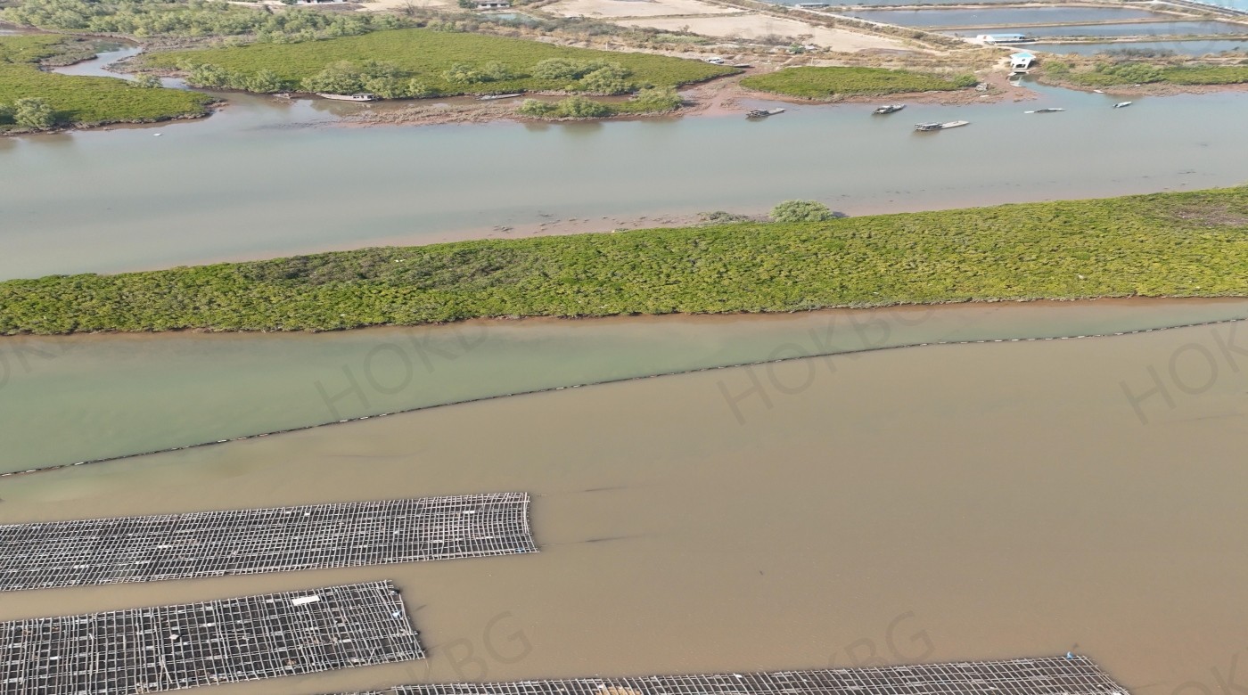 silt curtains are used in mangrove protection