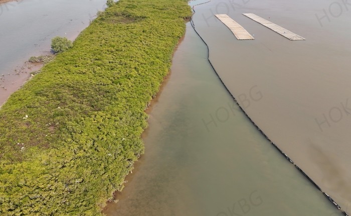 silt curtains are used in mangrove protection