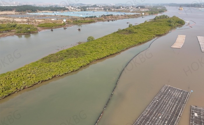 silt curtains are used in mangrove protection