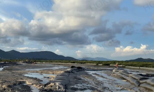 Protecting Mangroves with Geotextile Tubes: A Smart and Sustainable Coastal Solution