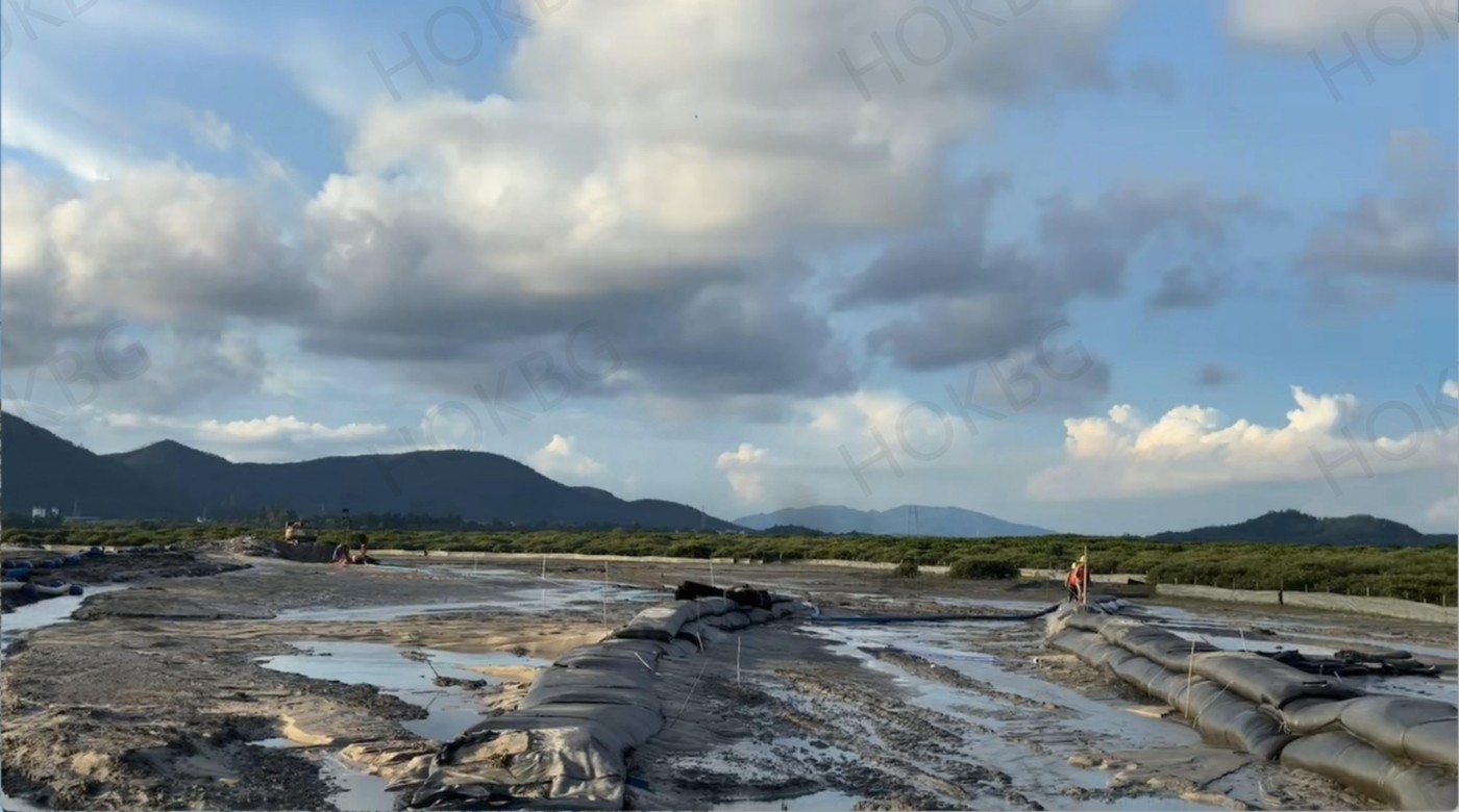 Application of geotube bags in mangrove protection