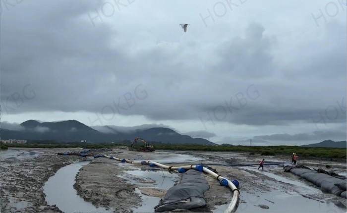 Application of geotube bags in mangrove protection