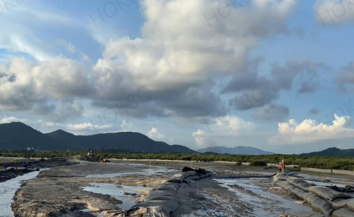 Application of geotube bags in mangrove protection