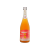 Plum Wine Wholesale | Bulk Drinking Beverages | Bar Usage | Japanese Sake Sales