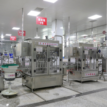 Revolutionizing the Seasoning Industry: The Impact of Automatic Filling Production Lines on Zhongye Foods (Dalian) Co., Ltd.