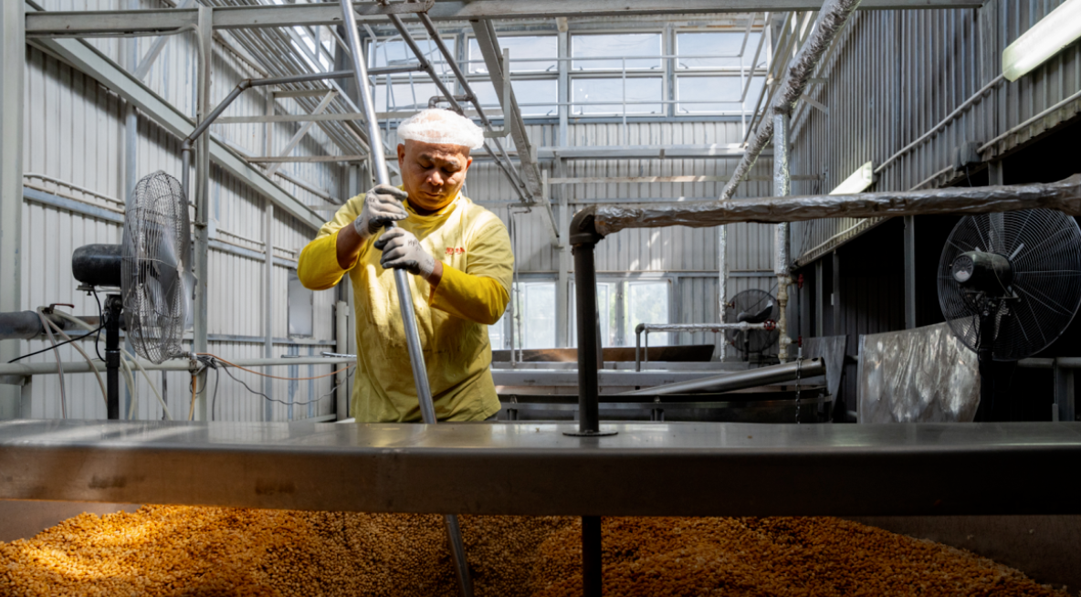 Custom Sushi Soy Sauce Manufacturing