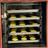 Rotating Rack Oven | Ventilated Oven with Rotating Rack | Electric Mini Rotating Rack Oven