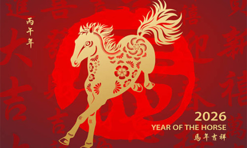 استقبال العام الجديد: بدء عام 2026 بوتيرة ثابتة ومركزة