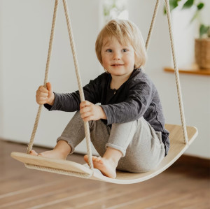 Professional Custom Wooden Swing and Balance Board 2-in-1 Kids Indoor Play Equipment