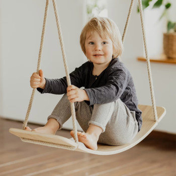 Professional Custom Wooden Swing and Balance Board 2-in-1 Kids Indoor Play Equipment