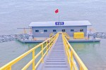 水平旋转接头摇臂固定臂型