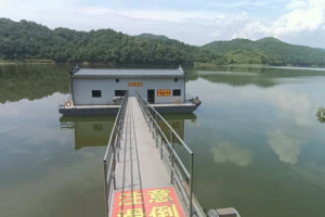 最佳进水泵容器：类型、防撞保护及解决方案（中大泵业）