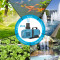 Submersible Pond Pump with Variable Speed: Energy-Efficient,Large Flow