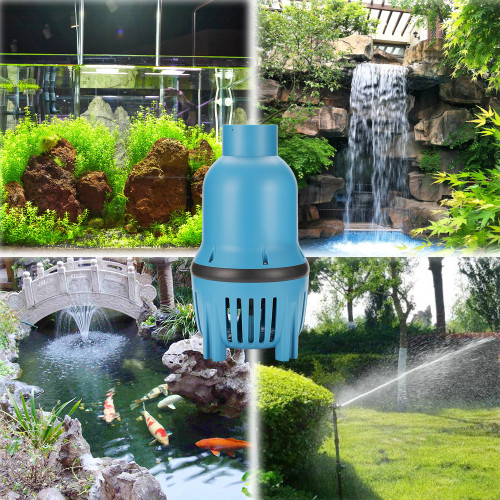 Koi Carp Pond Pump - Efficient Circulation for Healthy Koi Ponds