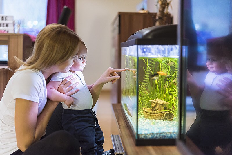 Aquarium pump for freshwater aquariums