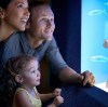 How to Choose Aquarium & Water Feature Pumps | Jinwa