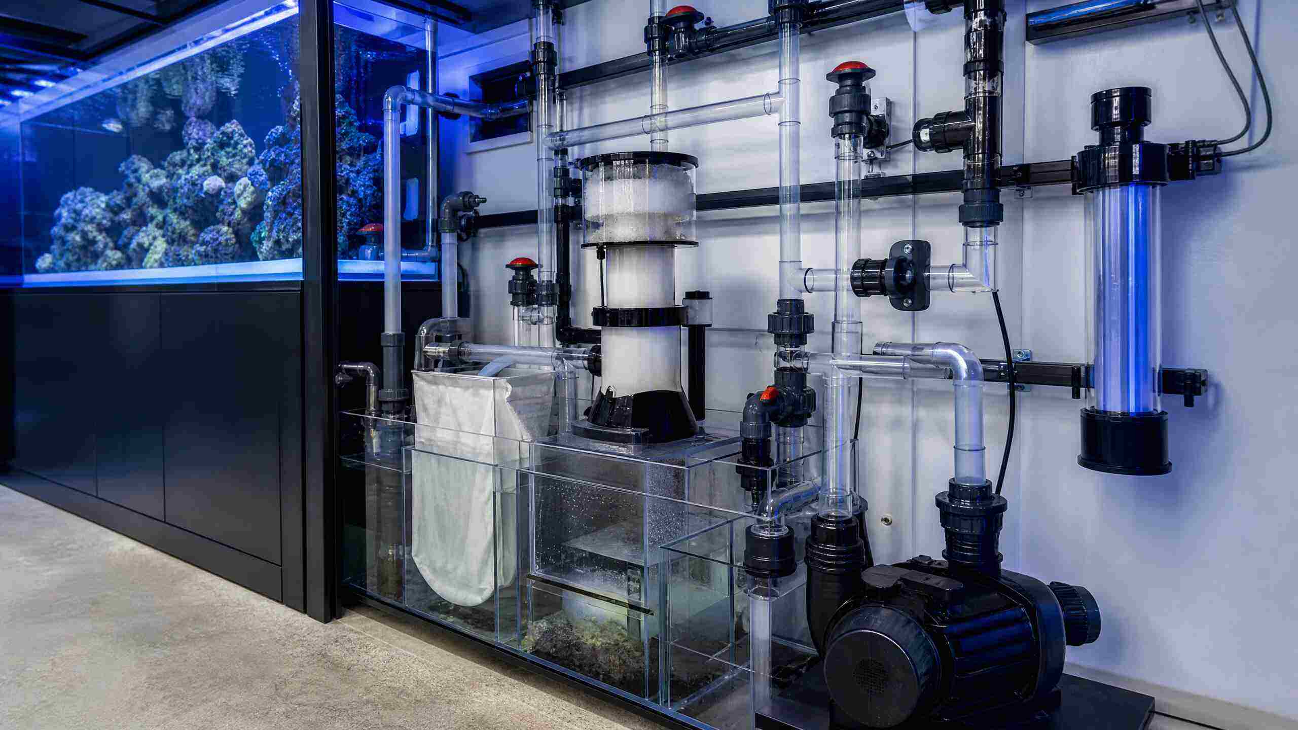 public aquarium pumps