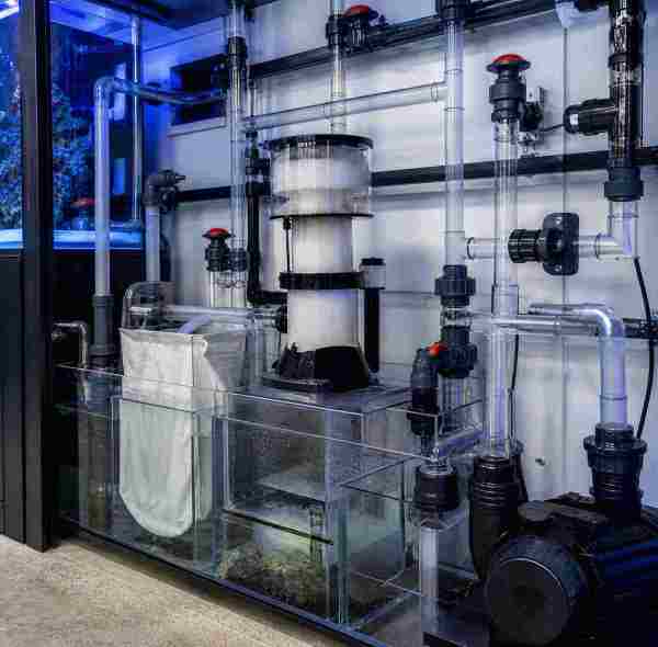How Do Variable-Speed Pumps Improve Aquarium Water Flow?