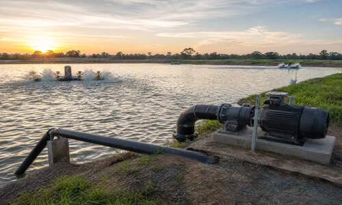 aquaculture pump