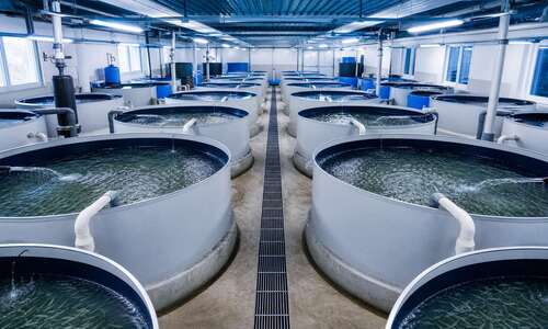 aquaculture water pumps for Fish Farms