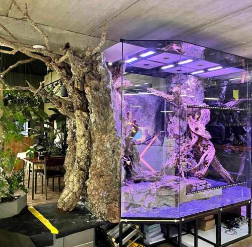 Czech Republic VPF-8000 DC Aquarium Return Pump Case | Jinwa