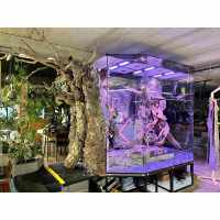 Czech Republic VPF-8000 DC Aquarium Return Pump Case | Jinwa