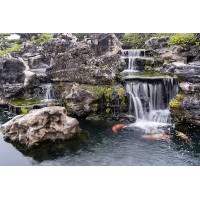 Israel PPC-30000 Koi Pond & Waterfall Pump Case | Jinwa