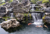 Israel PPC-30000 Koi Pond & Waterfall Pump Case | Jinwa