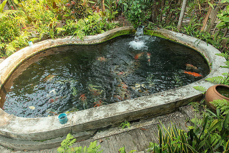 Outdoor koi pond circulation supported by a Jinwa PPC-30000 pump in Israel