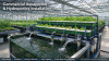 Germany Aquaponics Water Pump Project | Jinwa PSA-20000