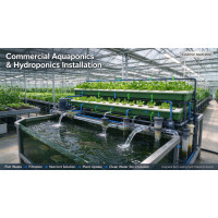 Germany Aquaponics Water Pump Project | Jinwa PSA-20000
